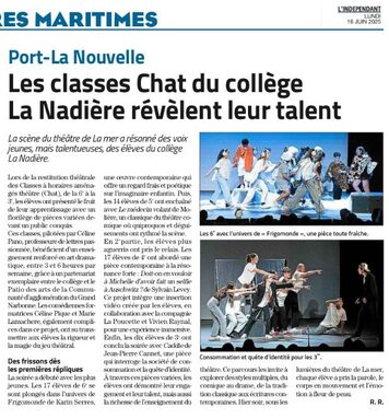 Presse Représentation CHAT.jpg